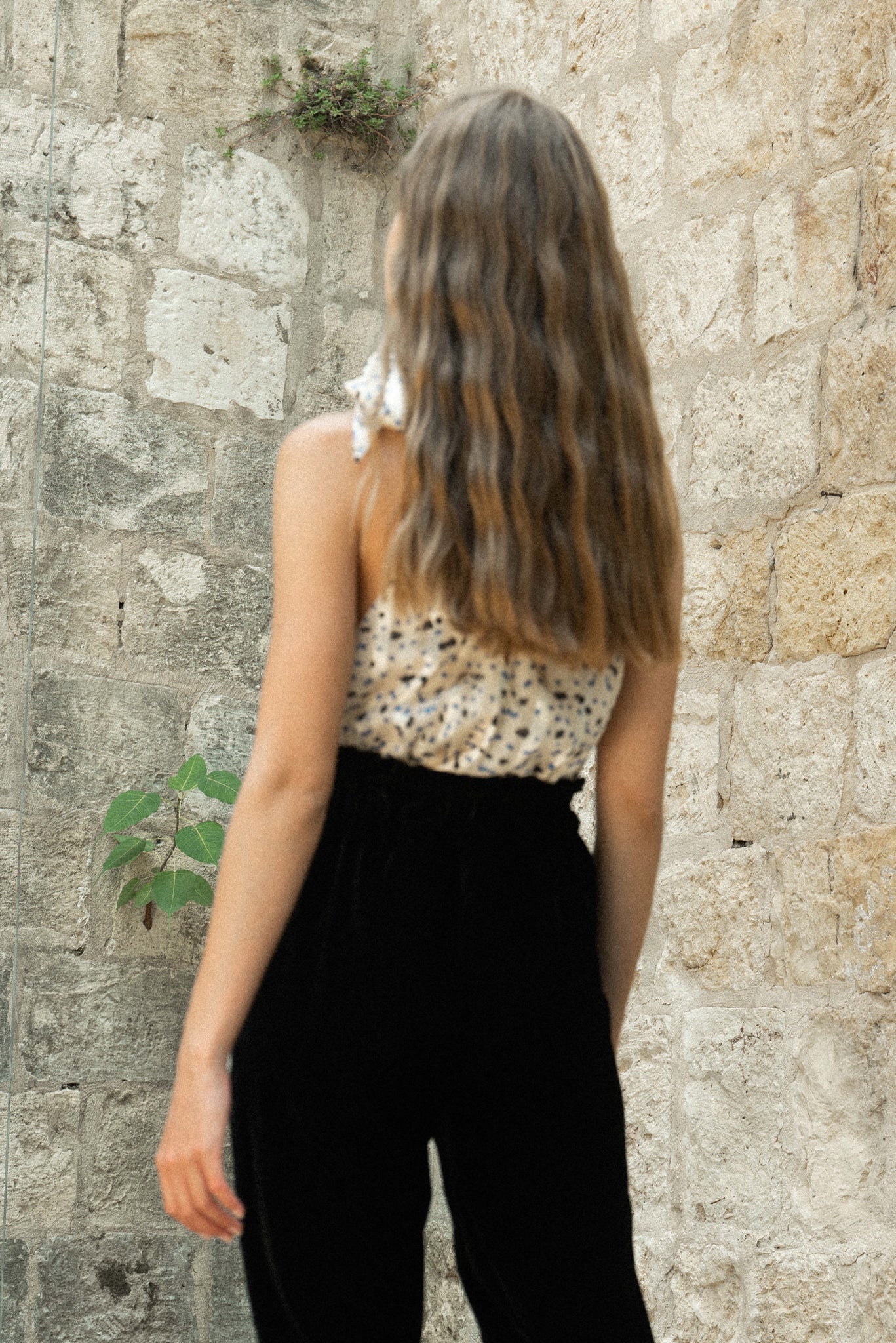 SABINA MUSAYEV - butterfly_print_on_chiffon_ivory_fw_22_23