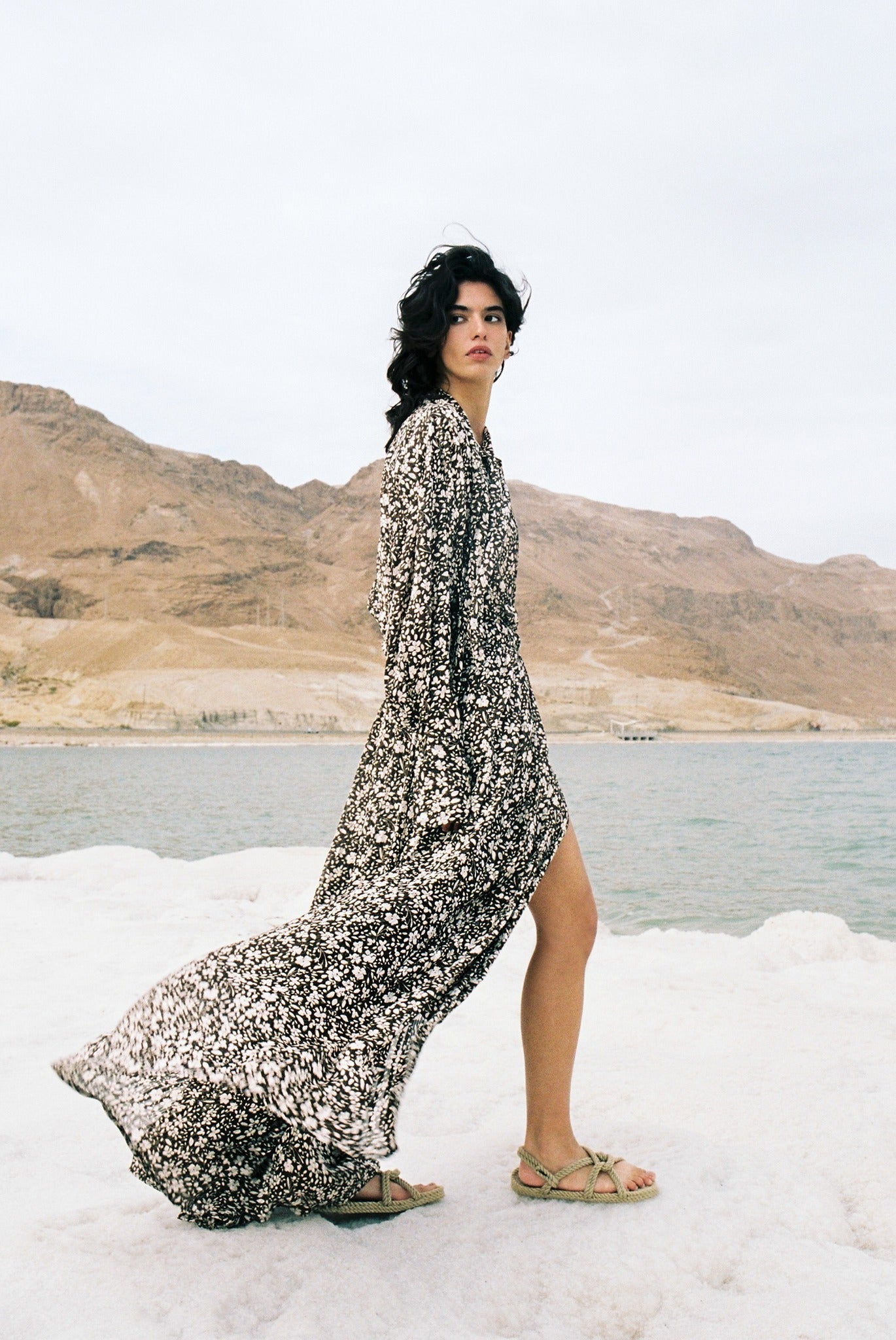 SABINA MUSAYEV - floral_chiffon_w_lurex_brown_print_spring_24