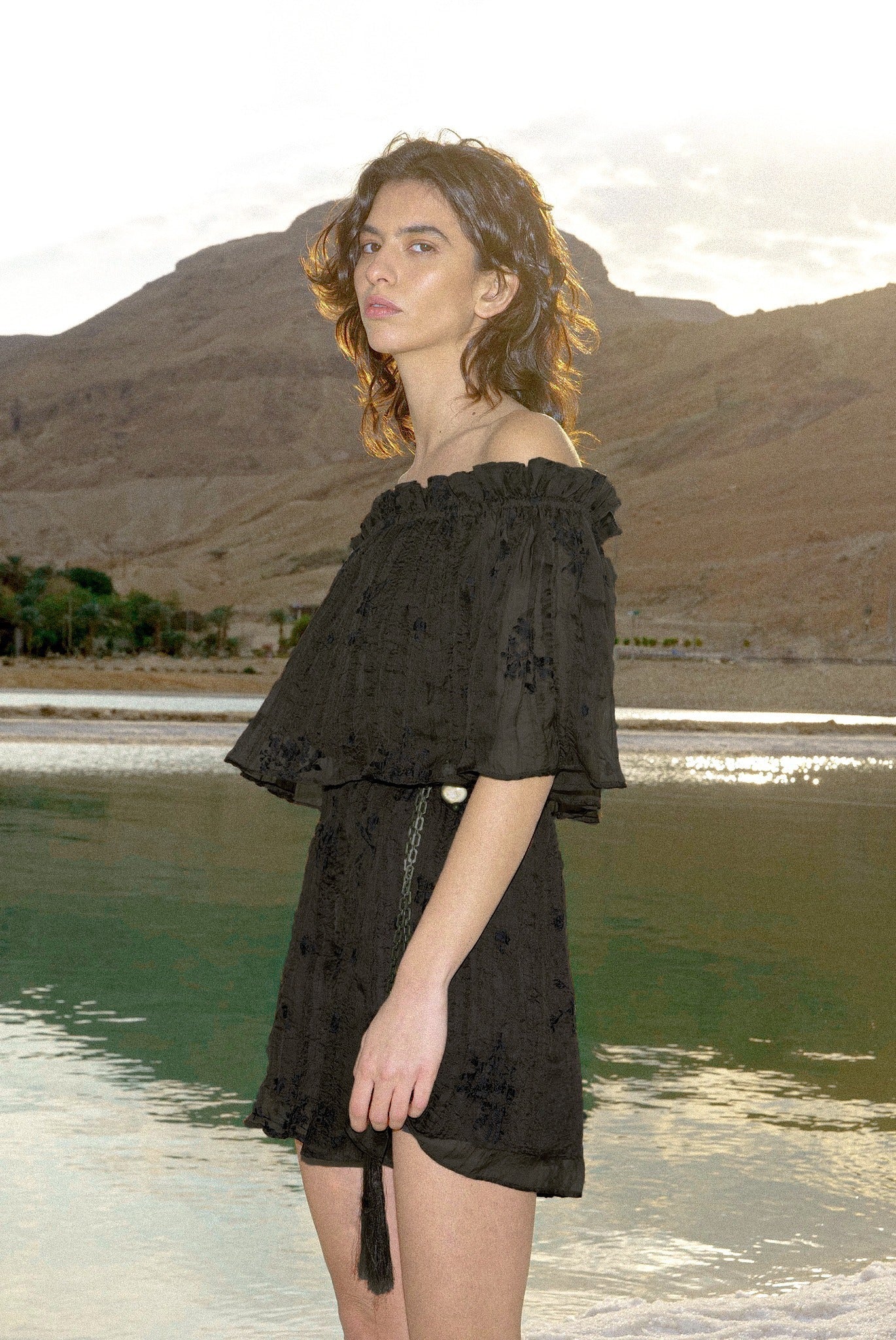 SABINA MUSAYEV - pleated_chiffon_w_embroidery_dark_brown_spring_24