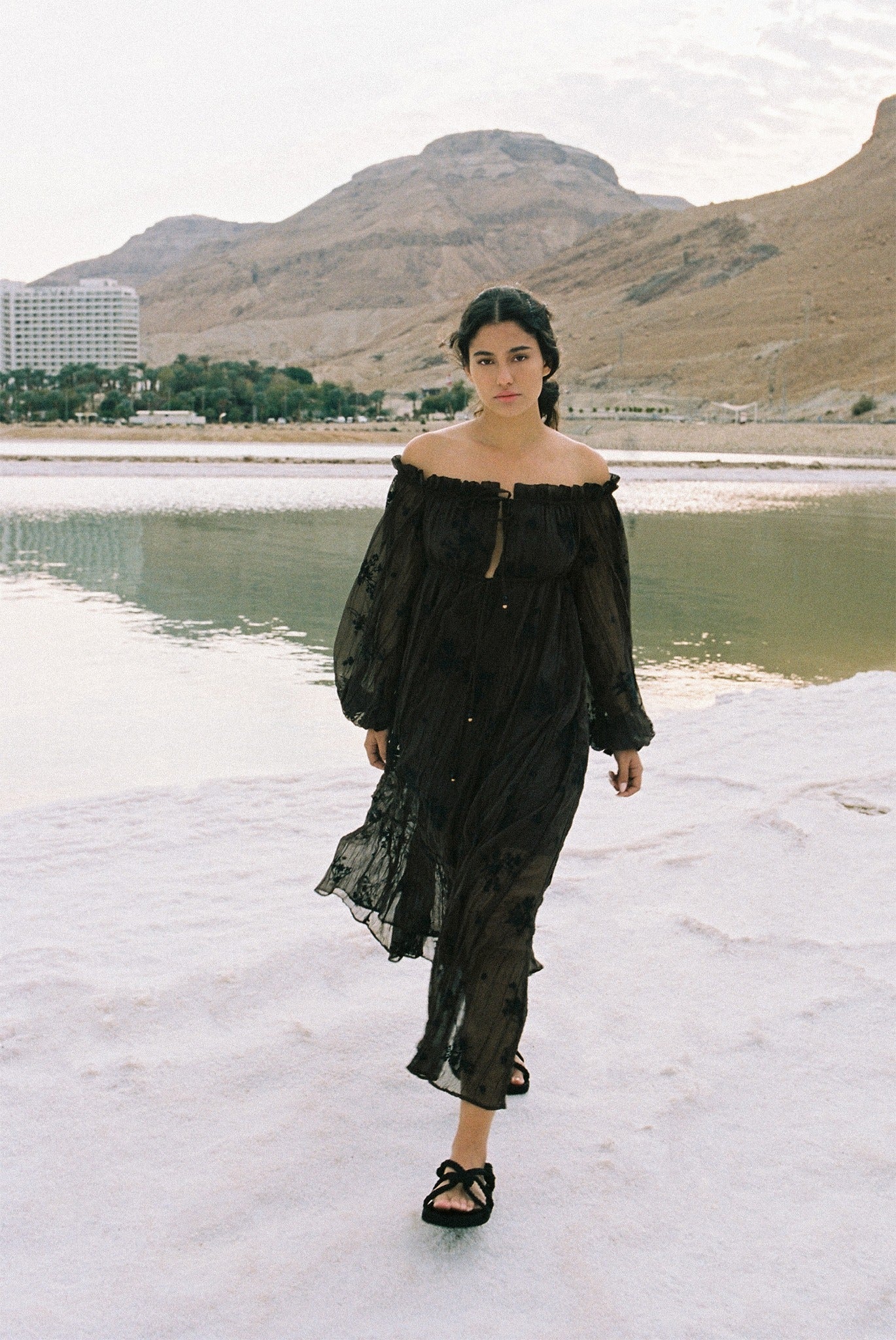 SABINA MUSAYEV - pleated_chiffon_w_embroidery_dark_brown_spring_24
