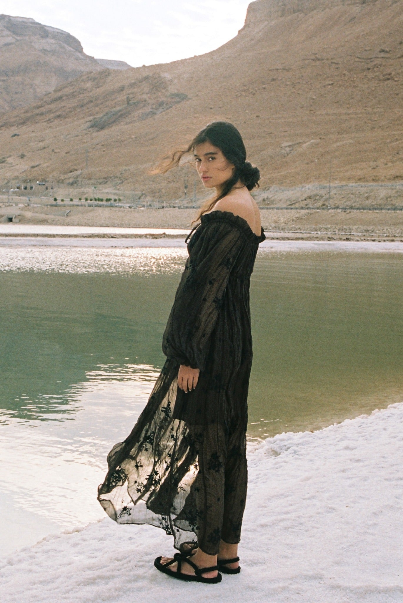 SABINA MUSAYEV - pleated_chiffon_w_embroidery_dark_brown_spring_24