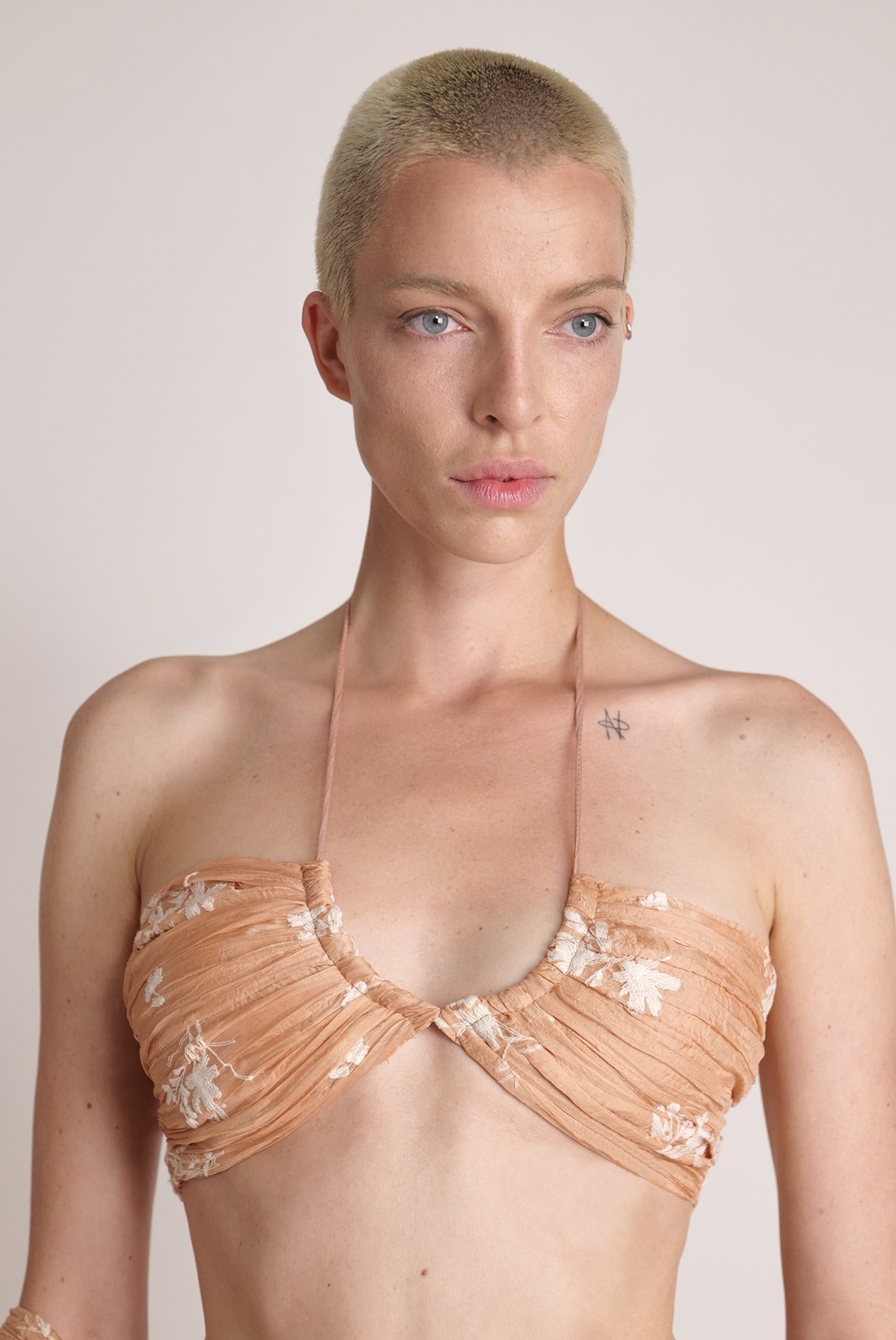 SABINA MUSAYEV - pleated_chiffon_w_embroidery_blush_spring_24