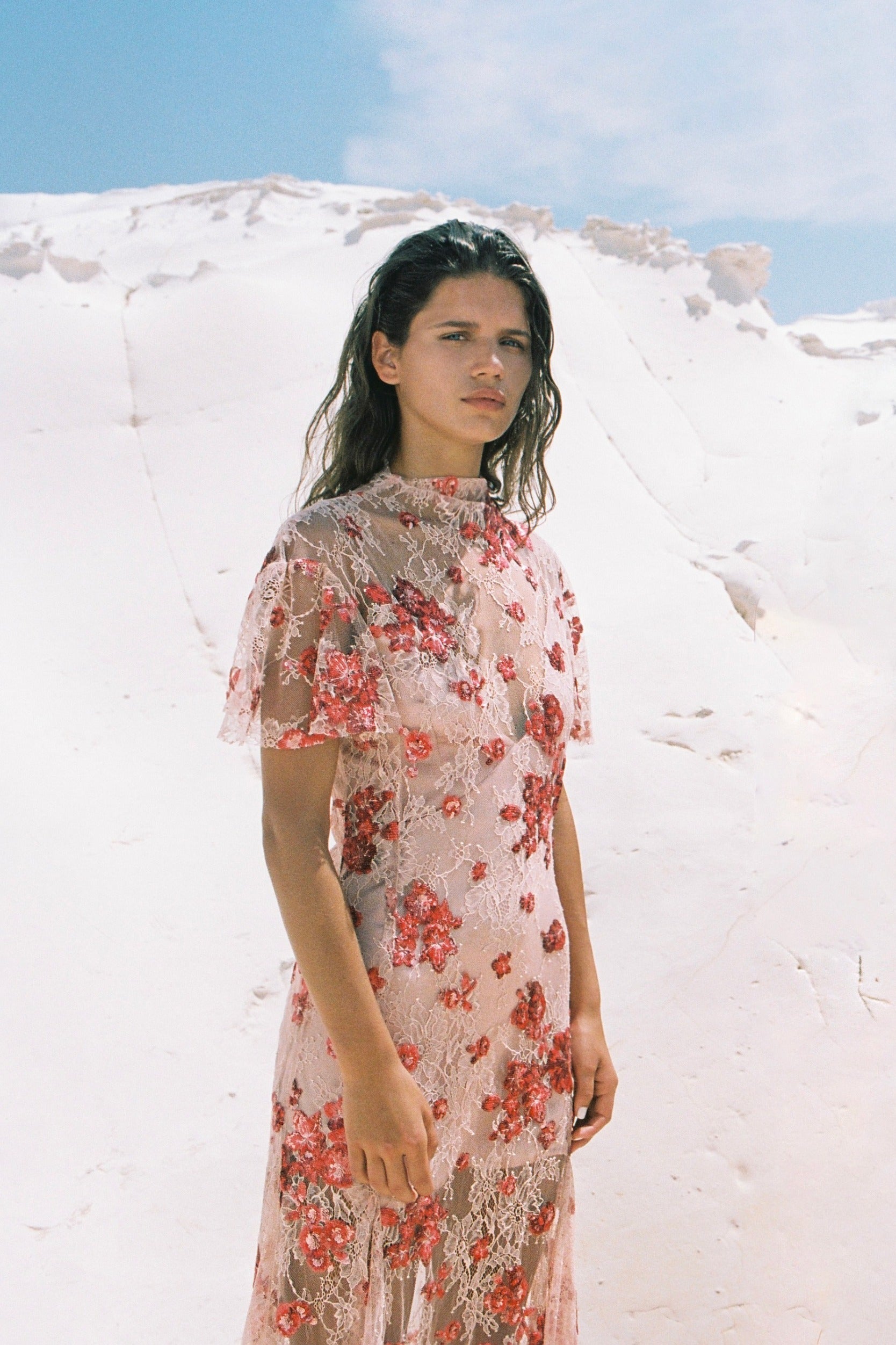 SABINA MUSAYEV - floral_sequin_on_soltice_lace_red_on_nude_summer_24